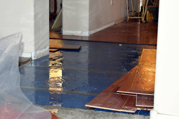 Professional Water Extraction technician working in Woodland, MI